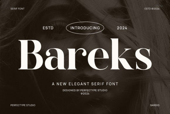 Bareks: The Elegant Serif for Modern Creatives